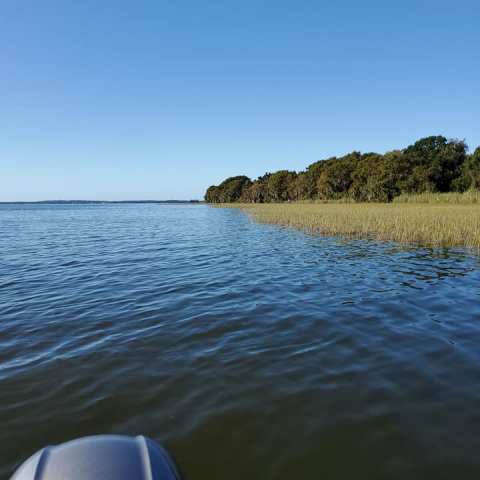 Weed Line On Harris Chain